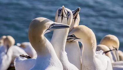 世界杯比赛安排-郭田雨回归U21国青闪电进球：和教练有种不谋而合