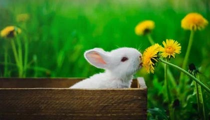 世界杯半决赛时间-首节丢40分！防守体系彻底崩塌的勇士这下麻烦了